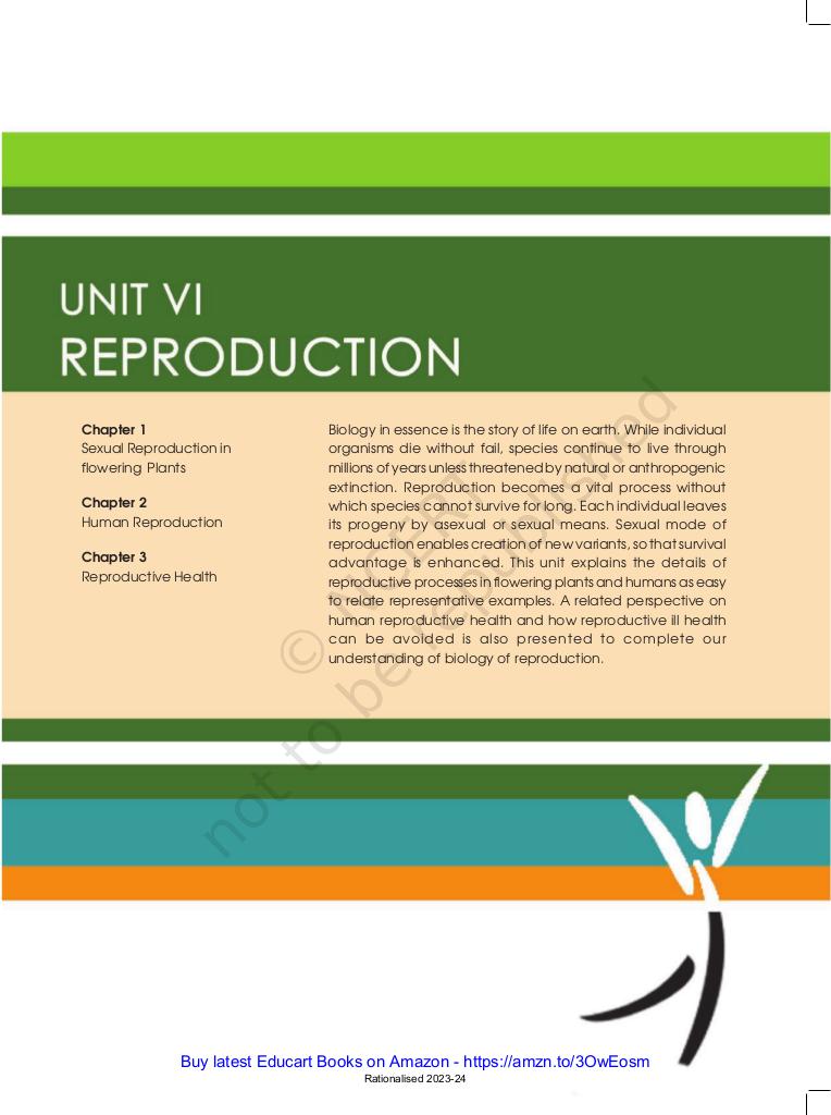 Ch - 1 Sexual Reproduction In Flowering Plants