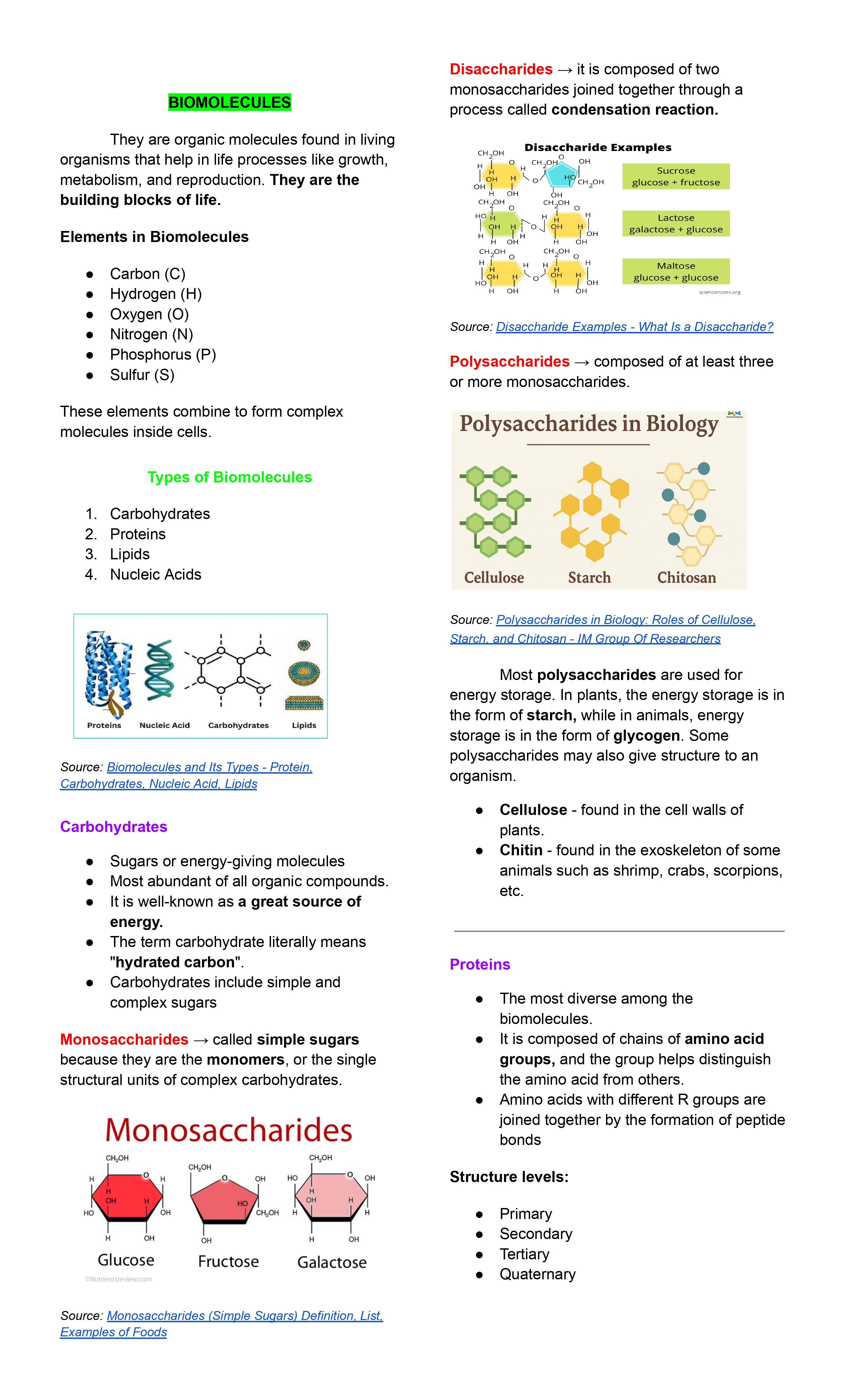 Preview of The Building Blocks of Life