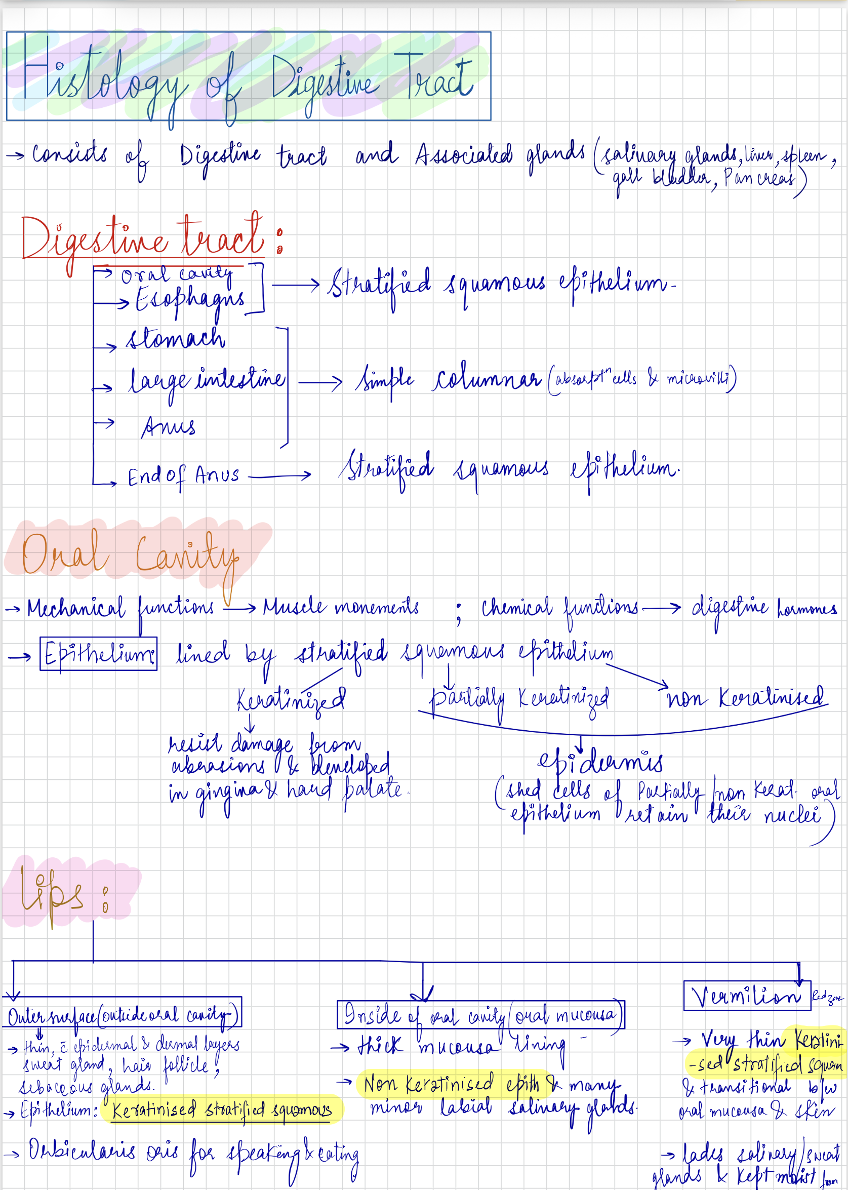 Preview of Histology of  the digestive system
