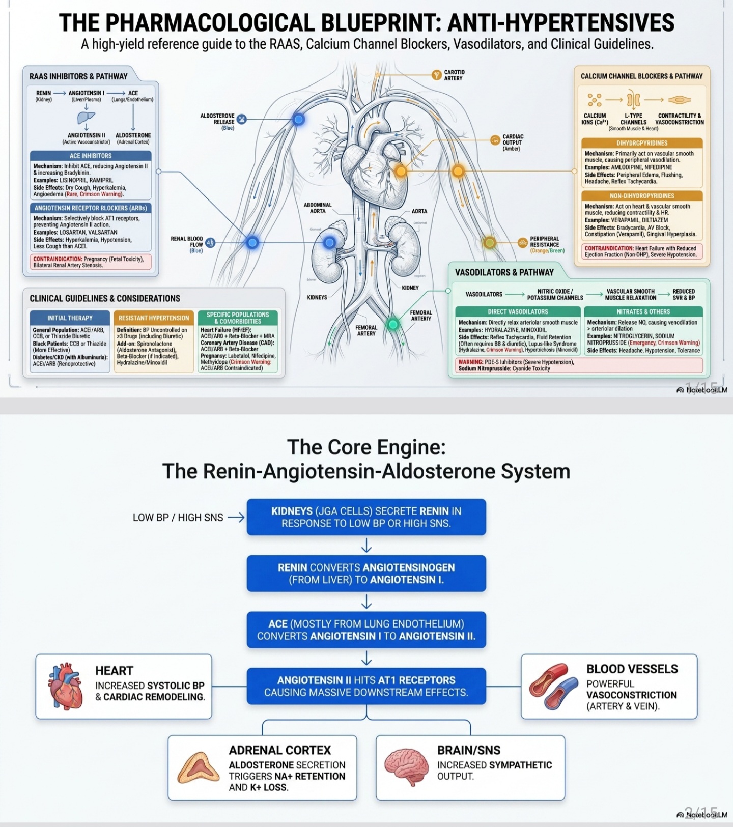 Download Anti-hypertensives ( pharmacology Blueprint ) - Vidyari